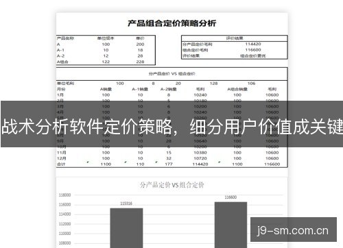 战术分析软件定价策略，细分用户价值成关键